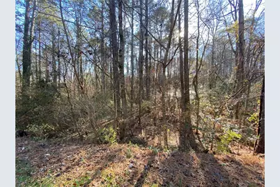 Lot 11 Belletta Drive, Canton, GA 30114 - Photo 4