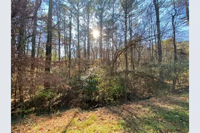 Lot 11 Belletta Drive, Canton, GA 30114 - Photo 6