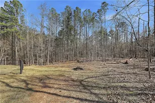 180 Lockwood Rd, Fayetteville, GA 30215 - Photo 46