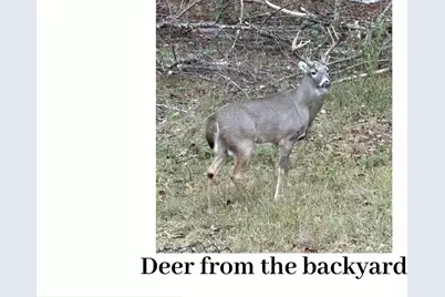 180 Lockwood Road, Fayetteville, GA 30215 - Photo 56