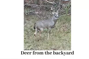 180 Lockwood Rd, Fayetteville, GA 30215 - Photo 56