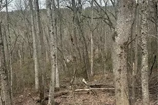 0 Mulberry Ct, Jasper, GA 30143 - Photo 1