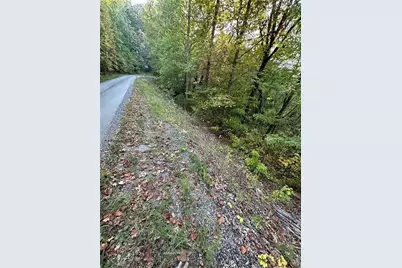 0 Mulberry Court, Jasper, GA 30143 - Photo 8