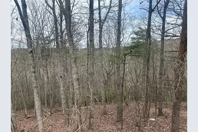 0 Mulberry Court, Jasper, GA 30143 - Photo 2