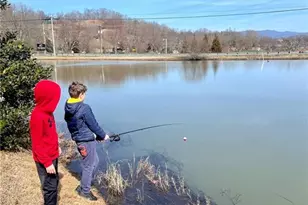 3243 Dogwood Ln, Hiawassee, GA 30546 - Photo 70