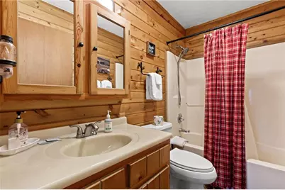 206 Sunny Brook Road, Blue Ridge, GA 30513 - Photo 20