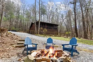 206 Sunny Brook Rd, Blue Ridge, GA 30513 - Photo 22