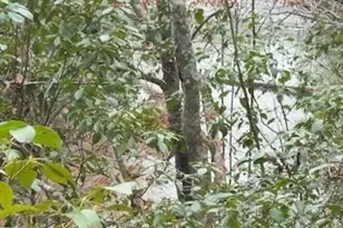 00Lot1 N Helton Rd, Douglasville, GA 30187 - Photo 4