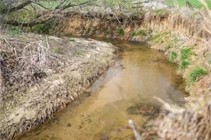 201 Fred Pitts Rd, Demorest, GA 30535 - Photo 48