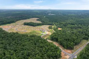 92 Cyrilla Walk, Dallas, GA 30132 - Photo 30