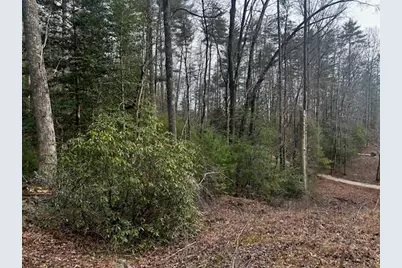0 Corinth Church Road, Cleveland, GA 30528 - Photo 1