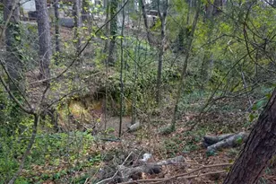 1504 Sugarplum Pl SW, Conyers, GA 30094 - Photo 16