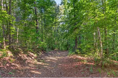 2025 Soap Creek Road, Ball Ground, GA 30107 - Photo 8