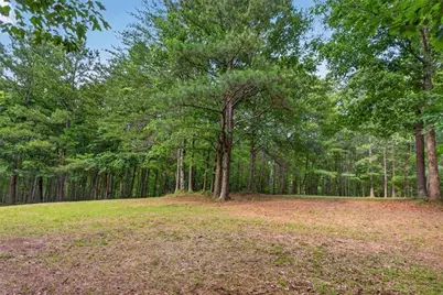 2025 Soap Creek Road, Ball Ground, GA 30107 - Photo 16