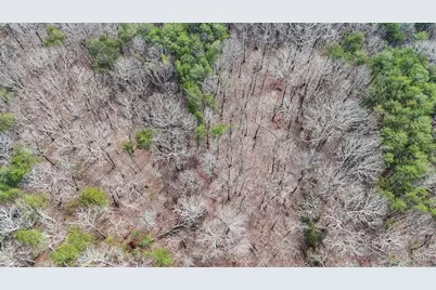 0 Fern Creek Court, Jasper, GA 30143 - Photo 8