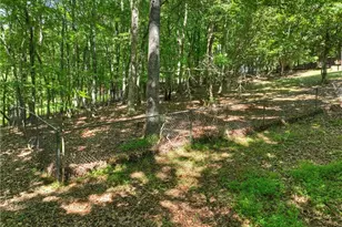 100 Arrow Way, Mineral Bluff, GA 30559 - Photo 48