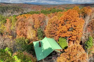 100 Arrow Way, Mineral Bluff, GA 30559 - Photo 52