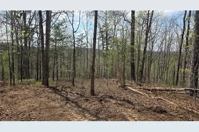 611 Pack Road NE, Ranger, GA 30734 - Photo 14