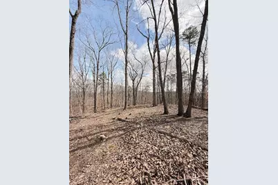 611 Pack Road NE, Ranger, GA 30734 - Photo 8