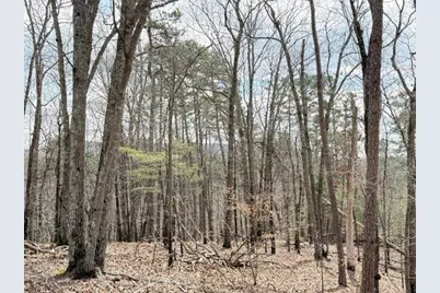 579 Pack Road NE, Ranger, GA 30734 - Photo 10