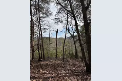 579 Pack Road NE, Ranger, GA 30734 - Photo 18