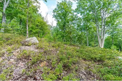 00 E Hermitage Road NE, Rome, GA 30161 - Photo 38