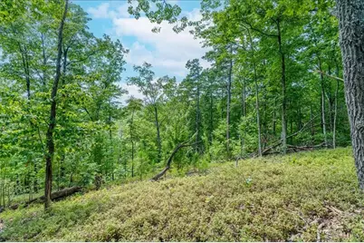 00 E Hermitage Road NE, Rome, GA 30161 - Photo 40