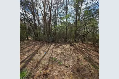 521 Birkdale Boulevard, Carrollton, GA 30116 - Photo 4