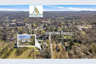 314 Holley Street, Demorest, GA 30535 - Photo 54