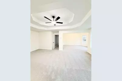 353 Madison Avenue, Hampton, GA 30228 - Photo 20