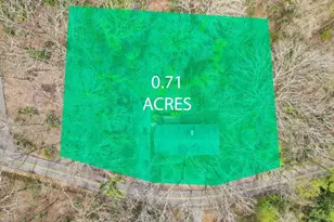 206 Hammond Dr, Summerville, GA 30747 - Photo 8