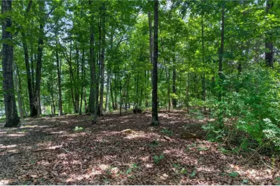 2729 Arbor Hill Road, Canton, GA 30115 - Photo 50