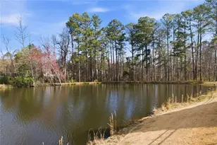 1107 Maybeck Way, Peachtree City, GA 30269 - Photo 46