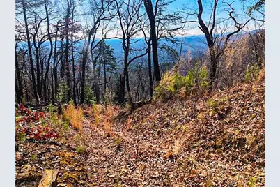 0 Coopers Gap Road, Dahlonega, GA 30533 - Photo 8