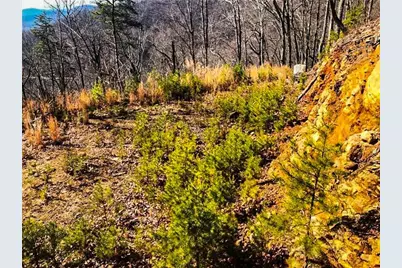 0 Coopers Gap Road, Dahlonega, GA 30533 - Photo 6