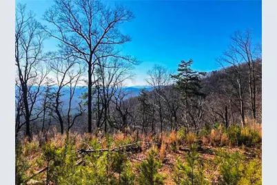 0 Coopers Gap Road, Dahlonega, GA 30533 - Photo 2