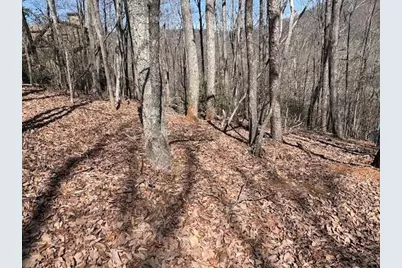 1150 Swallow Point, Big Canoe, GA 30143 - Photo 2