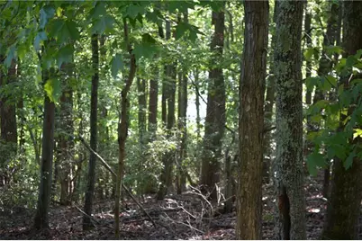 1150 Swallow Point, Big Canoe, GA 30143 - Photo 12