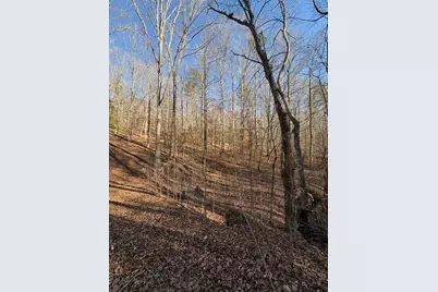 0 Gold View Drive, Dahlonega, GA 30533 - Photo 6