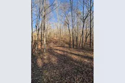 0 Gold View Drive, Dahlonega, GA 30533 - Photo 1