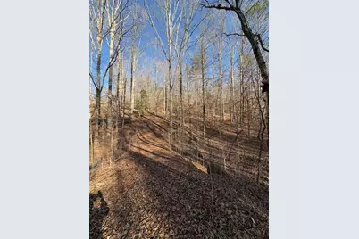 0 Gold View Drive, Dahlonega, GA 30533 - Photo 8