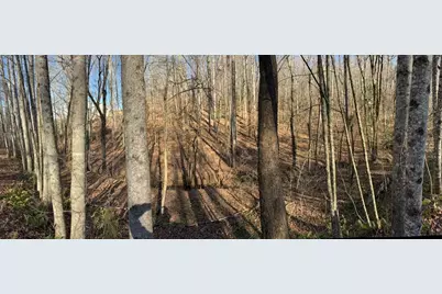 0 Gold View Drive, Dahlonega, GA 30533 - Photo 10