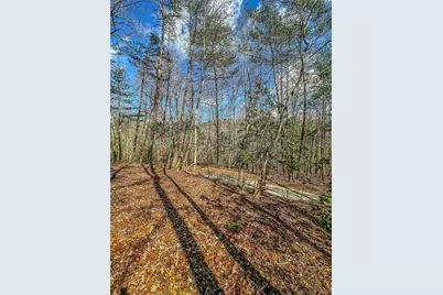 00 Ts Jarrard, Dahlonega, GA 30533 - Photo 2