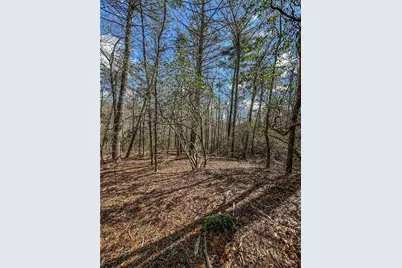 00 Ts Jarrard, Dahlonega, GA 30533 - Photo 18