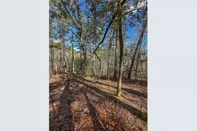 00 Ts Jarrard, Dahlonega, GA 30533 - Photo 40