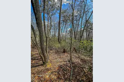 00 Ts Jarrard, Dahlonega, GA 30533 - Photo 28