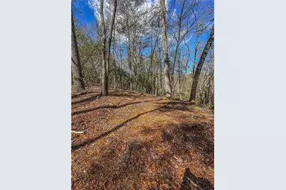 00 Ts Jarrard, Dahlonega, GA 30533 - Photo 16