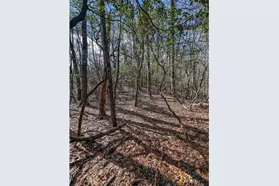 00 Ts Jarrard, Dahlonega, GA 30533 - Photo 30