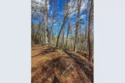 00 Ts Jarrard, Dahlonega, GA 30533 - Photo 6