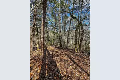 00 Ts Jarrard, Dahlonega, GA 30533 - Photo 38